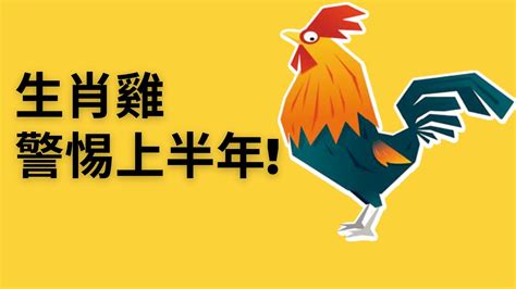 1993屬雞2023運勢|1993年出生屬雞人2023年全年運勢 生肖雞兔年每月運勢